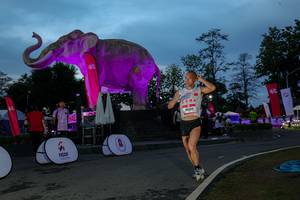 BIB: 
                            <button type="button" onclick="openModal(26529744)" class="btn btn-primary btn-sm float-right btn-popup" data-toggle="modal" data-target=".modal-high-quality">
                        <i class="fas fa-shopping-cart"></i> Add to Cart
                    </button>
                                            <button type="button" onclick="isThisMe(26529744, true)" class="btn btn-success btn-sm float-right btn-popup btn-isme hidden" data-toggle="tooltip" data-placement="bottom" title="นี่คือรูปของคุณใช่ไหม คลิกที่นี่เพื่อเอาเข้าอัลบั้ม">
                        <i class="fas fa-plus"></i> Add to album
                    </button>
                    <button type="button" onclick="isThisMe(26529744, false)" class="btn btn-warning btn-sm float-right btn-popup btn-isnotme hidden">
                        <i class="fas fa-ban"></i> Remove from album
                    </button>